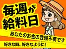 シンテイ警備株式会社 松戸支社 綾瀬・北綾瀬・青井(イベント-2)エリア/A3203200113のアルバイト写真