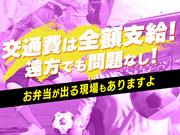 シンテイ警備株式会社 柏営業所 高根公団(8)エリア/A3203200128のアルバイト写真2