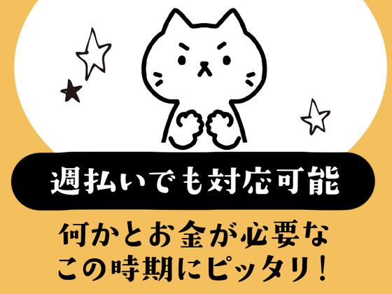 シンテイ警備株式会社 成田支社 志津・井野(千葉)・地区センター(26)エリア/A3203200111のアルバイト写真