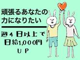 シンテイ警備株式会社 柏支社 三郷・新三郷・三郷中央(交通誘導)エリア/A3203200128のアルバイト写真