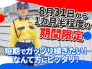 シンテイ警備株式会社 相模金子・上大井エリア/A3203000186のアルバイト写真