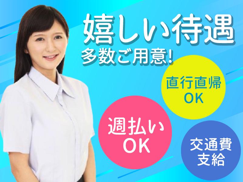 シンテイ・スタッフトータルサービス事業部 小林(千葉)(10)エリアの求人画像