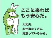 シンテイ警備株式会社 錦糸町支社 南砂町・門前仲町・清澄白河(交通誘導-2)/A3203200119のアルバイト写真