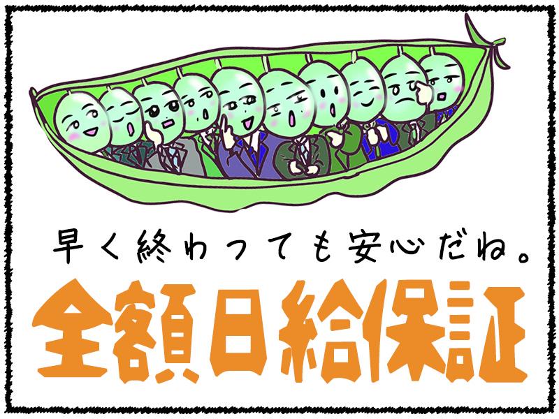 シンテイ警備株式会社 松戸支社 赤土小学校前8エリア/A3203200113の求人画像