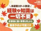 シンテイ警備株式会社 津田沼支社 船橋・西船橋・京成船橋エリア(イベント警備)/A3203200132のアルバイト写真