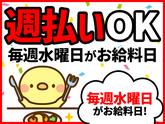 シンテイ警備株式会社 松戸支社 上野・京成上野・御徒町(41)エリア/A3203200113のアルバイト写真