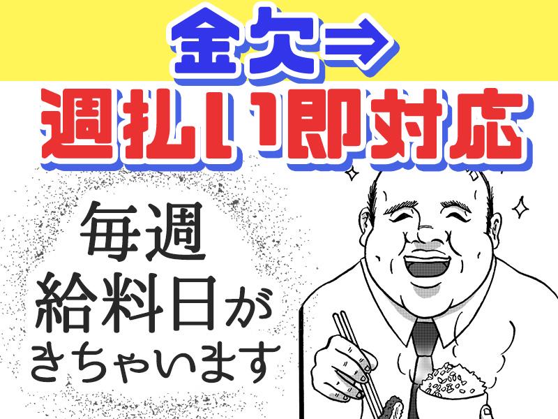 シンテイ警備株式会社 松戸支社 二俣新町24エリア/A3203200113の求人画像