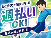 シンテイ警備株式会社 柏支社 新守谷(5)エリア/A3203200128のアルバイト写真