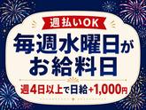 シンテイ警備株式会社 錦糸町支社 東京・秋葉原・有楽町(夏のイベント)エリア/A3203200119のアルバイト写真
