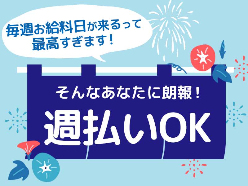 シンテイ警備株式会社 川崎支社 羽田空港第３ターミナル(東京モノレール)8エリア/A3203200110の求人画像