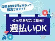 シンテイ警備株式会社 川崎支社 羽田空港第３ターミナル(京急)8エリア/A3203200110のアルバイト写真1