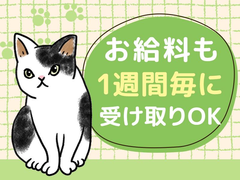 シンテイ警備株式会社 津田沼支社 薬園台4エリア/A3203200132の求人画像