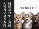 シンテイ警備株式会社 新橋支社 東京ビッグサイト・有明(東京)・有明テニスの森(7)エリア/A3203200143のアルバイト写真