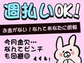 シンテイ警備株式会社 吉祥寺支社 府中(東京)・分倍河原・武蔵野台(22)エリア/A3203200118のアルバイト写真