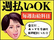 シンテイ警備株式会社 国分寺支社 府中競馬正門前(1)エリア/A3203200124のアルバイト写真1