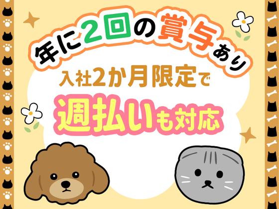 シンテイ警備株式会社 川崎支社 京急蒲田・雪が谷大塚・石川台エリア(二子玉川駅チカの施設警備)/A3203200110のアルバイト写真