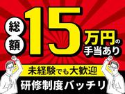 シンテイ警備株式会社 吉祥寺支社 お台場海浜公園(2)エリア/A3203200118のアルバイト写真(メイン)