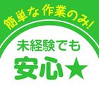 ショウヨウ株式会社(A11006-2)のアルバイト写真