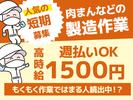 株式会社シグマテック　NSFのアルバイト写真