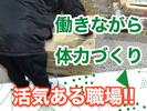 株式会社シルバーライフ(仕分け)【青果市場/東久留米】(02)のアルバイト写真