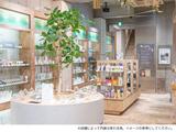 株式会社蒼悠_生活の木_広島パセーラ店01のアルバイト写真
