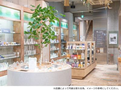 株式会社蒼悠_生活の木_広島パセーラ店01のアルバイト写真