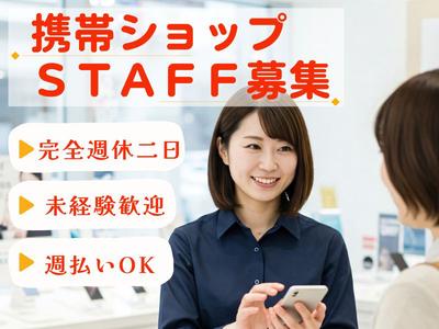 株式会社サンライズ・パートナー 家電量販店内のドコモスマホ販売業務(豊橋市前田南町)のアルバイト写真