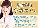 株式会社サンライズ・パートナー 家電量販店内のauスマホ販売業務(鈴鹿市庄野羽山)のアルバイト写真
