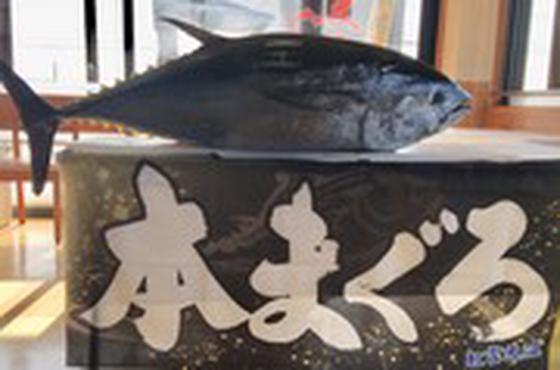 すし遊館　宇野店のアルバイト写真