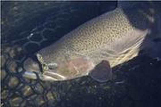 タックルベリー Berry Park in 王禅寺店(フリーター)【0102】のアルバイト写真