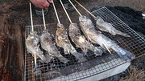 タックルベリー Berry Park in 王禅寺店(フリーター)【0102】のアルバイト写真