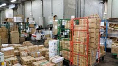 田信 豊洲市場のアルバイト写真