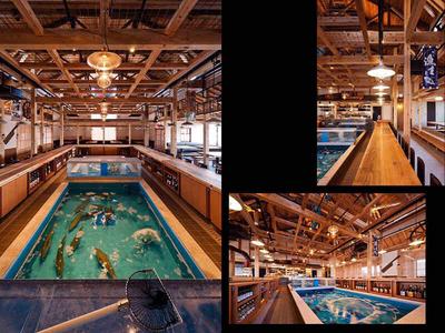 株式会社天下味　活魚　漁ま01のアルバイト写真