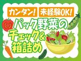 株式会社トーコー神戸支店/KBMM26517755のアルバイト写真