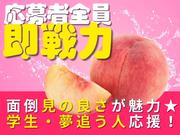 TOKYO EYE SERVICE_新浦安エリア_警備_日勤(2)のアルバイト写真3