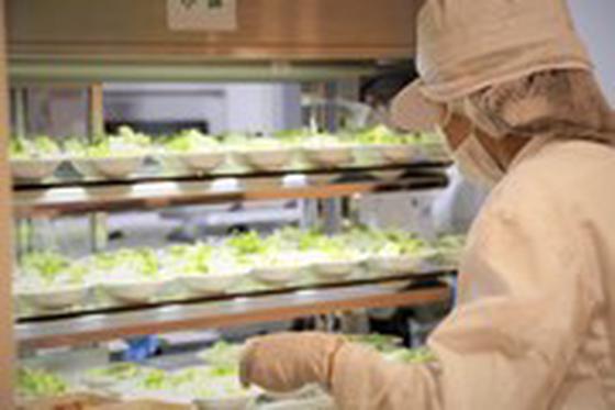 【1761】東京フードサービス株式会社 (千葉市美浜区打瀬)（001）のアルバイト写真