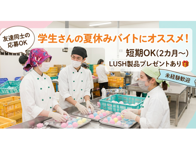 東西株式会社　HRソリューショングループ[509]SLUSH_P_bmのアルバイト
