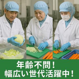 東洋ワーク株式会社/114273-080-112730のアルバイト写真