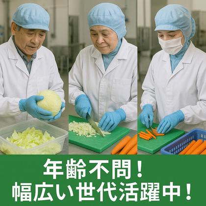 東洋ワーク株式会社/114273-080-112730のアルバイト写真