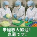 東洋ワーク株式会社/114273-080-112730のアルバイト写真