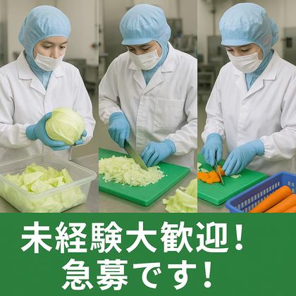 東洋ワーク株式会社/114273-080-112730のアルバイト写真