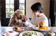 dog cafe DOGGYS VILLAGEのアルバイト写真(メイン)