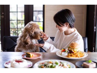 dog cafe DOGGYS VILLAGEのアルバイト