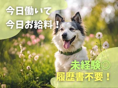 テイケイワークス東京　守谷支店/TWT154-0066のアルバイト写真