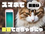 テイケイワークス東京　厚木支店/TWT112-7262-1のアルバイト写真