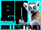 株式会社ユニオン ※足立区エリア(17)のアルバイト写真