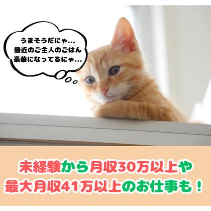 UTエージェント株式会社　名古屋AU_愛知県豊川市のアルバイト写真