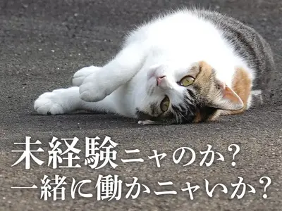 UTエージェント株式会社(京滋AU)《SUSCC》S_中書島エリア_Aのアルバイト