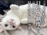 UTエージェント株式会社(関東CS_さいたま・京浜AU)《JTZO1C》TZO1のアルバイト写真