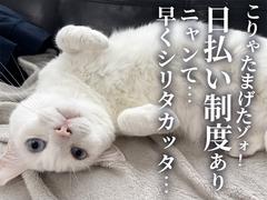 UTエージェント株式会社(関東CS_さいたま・京浜AU)《JTZO1C》TZO1のアルバイト
